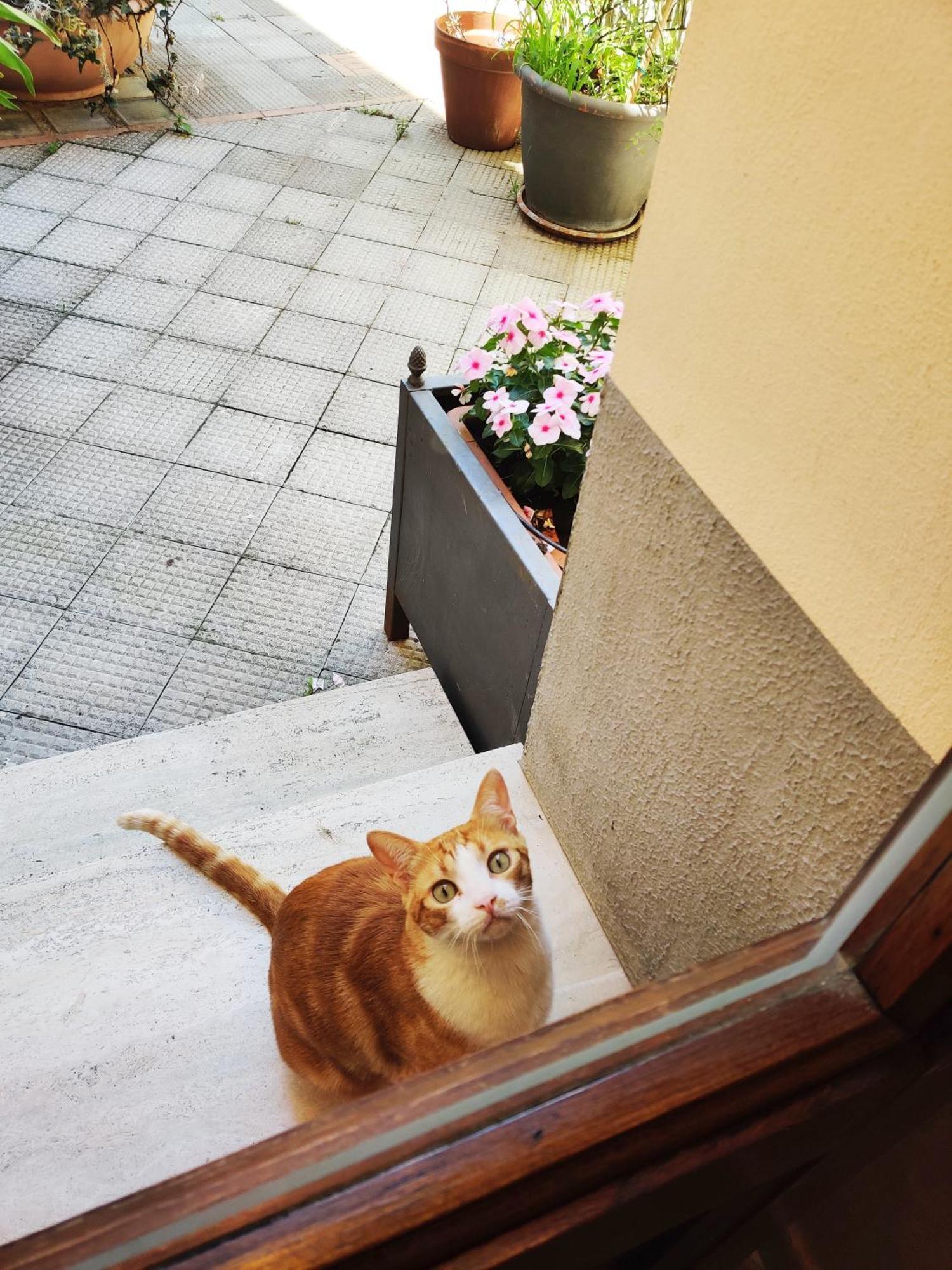 B&B Gattacicova Cava deʼ Tirreni Chambre photo